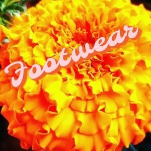 Footwear/Shoes